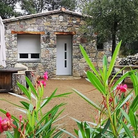 Готель Domaine Rondini Moltifao Екстер'єр фото