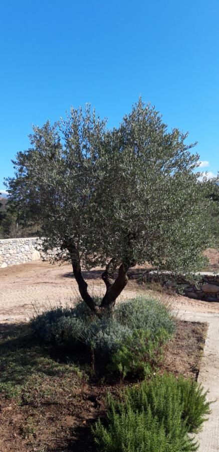 Готель Domaine Rondini Moltifao Екстер'єр фото